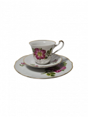 Winterling Schwarzenbach Bavaria Винтажное чайное трио "Яркие цветы" с позолоченным ободком, Германия, 1960-70гг.