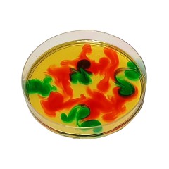 myExperimentSet Forschen und Experimentieren zu Dichte und Farben Исследования и эксперименты с плотностью и цветами