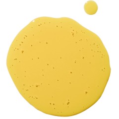 PSA Skin GIFTED Acai and Seabuckthorn Vitamin C Oil  ПОДАРОЧНОЕ Масло асаи и облепихи с витамином С