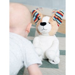 ZaZu Singender Hund Danny Дэнни поет собака