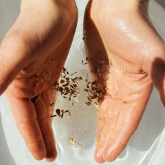 Bjork Berries Bath Salt Соль для ванны