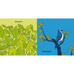 Aladin Verlag Du bist grun und ich bin blau Ты зеленый