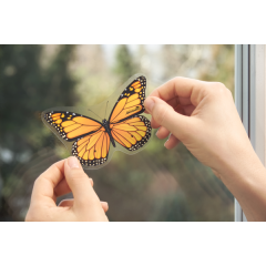 Aeroxon Fliegenkoder Insekten-Falter, Средство-приманка против мух, без запаха и клея, до 6 месяцев