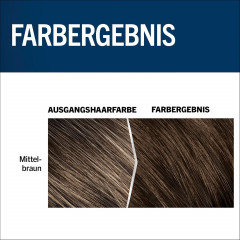 Schwarzkopf Professional Men Perfect Tonungs-Gel Natur Mittelbraun 60 Гель-краска против седых волос, оттенок средне-коричневый 60