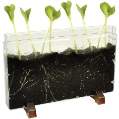 Eduplay Wurzelhaus  Wurmfarm червячная ферма корневого дома