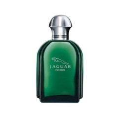 Jaguar Classic (Ягуар Классик) Men Eau de Toilette Туалетная вода Spray Спрей, 100 мл