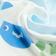 Fantifant Meilenstein-Fotodecke fur Babys Детское фотоодеяло Milestone